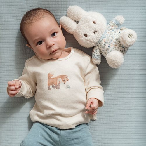 miffy cuddle 20 cm - Blue - Lucky Leaves