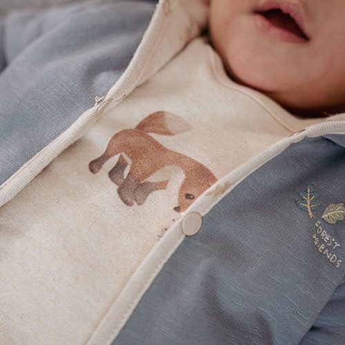 Shirt long sleeve - Sand - Forest Friends - Little Fox