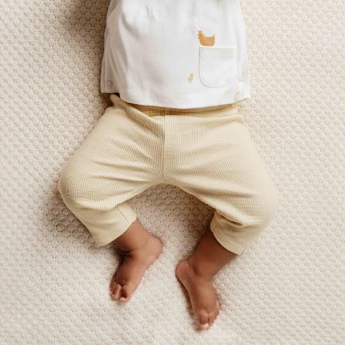Shirt wrap long sleeve - White - Little Farm - Print