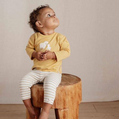 Pants - Multicolored - Little Farm - Stripe