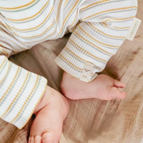 Romper - Multicolored - Little Farm - Stripe
