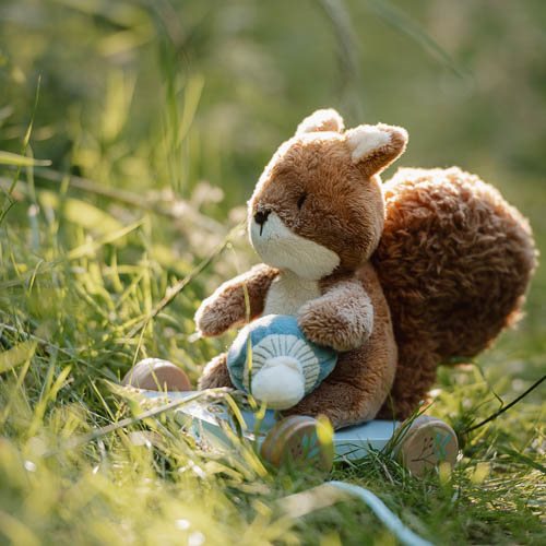 Pull Animal Squirrel - Blue - Forest Friends
