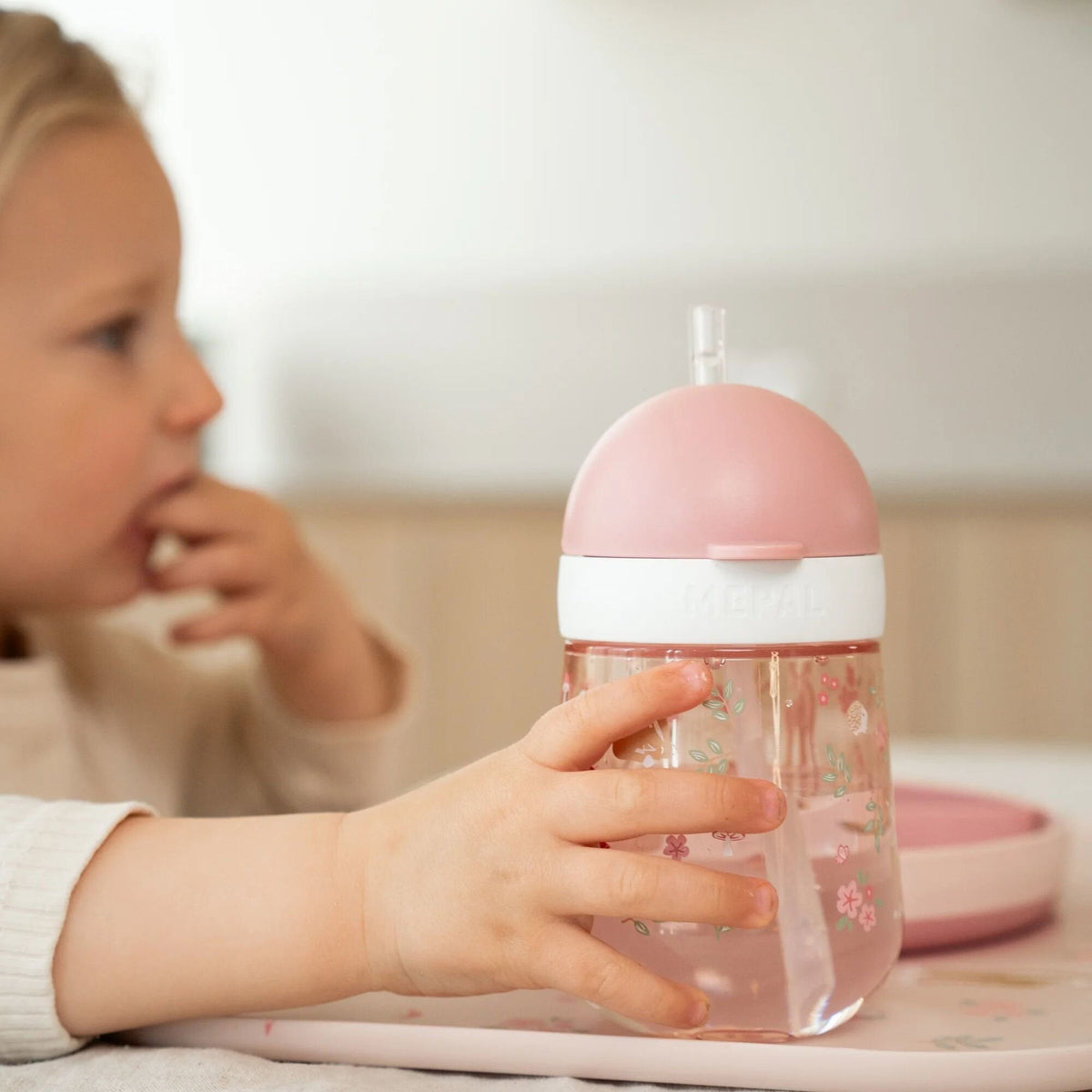 Straw cup 300 ml Fairy Garden