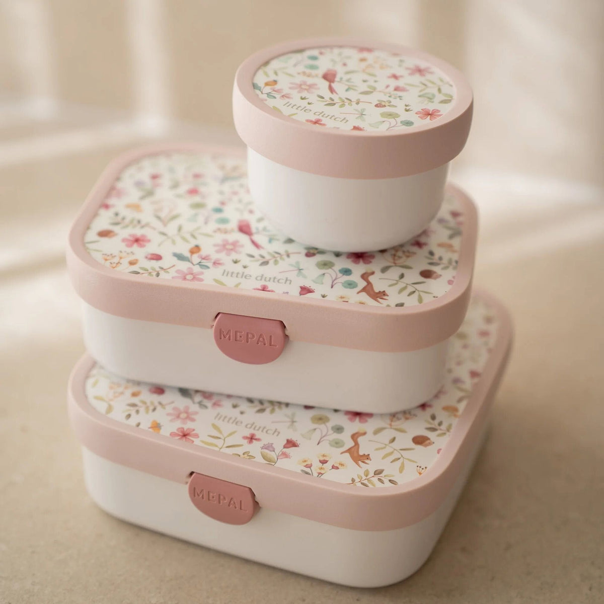 Lunchbox Fairy Wonders