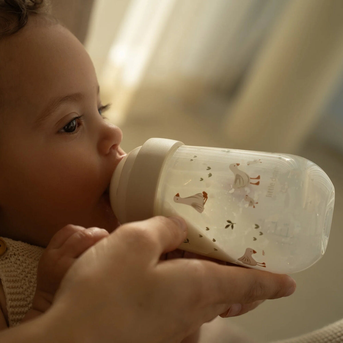 Baby bottle 240 ml Little Goose