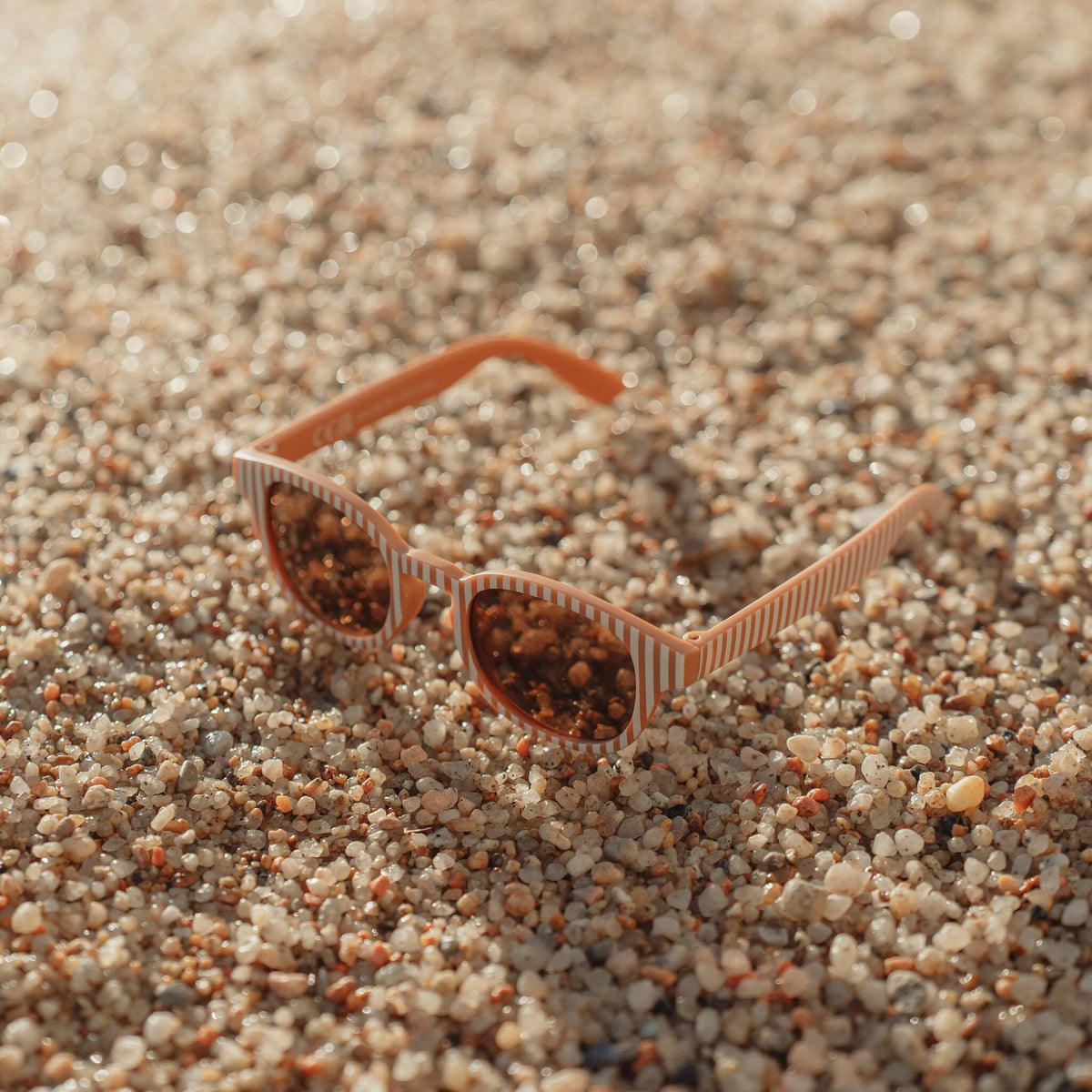Sunglasses - Brown - Stripes
