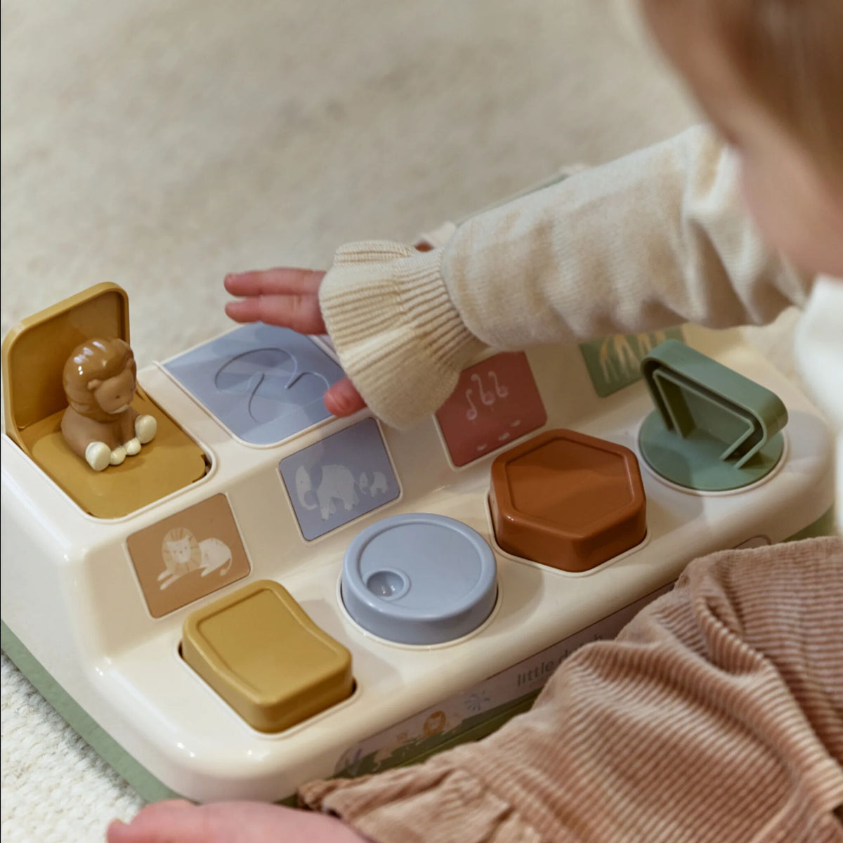 Pop up Safari Animals Green
