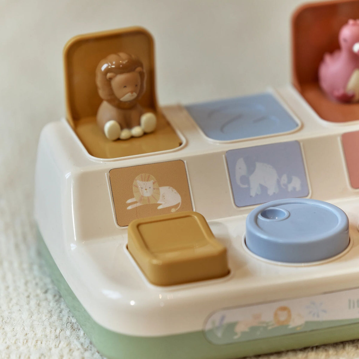 Pop up Safari Animals Green