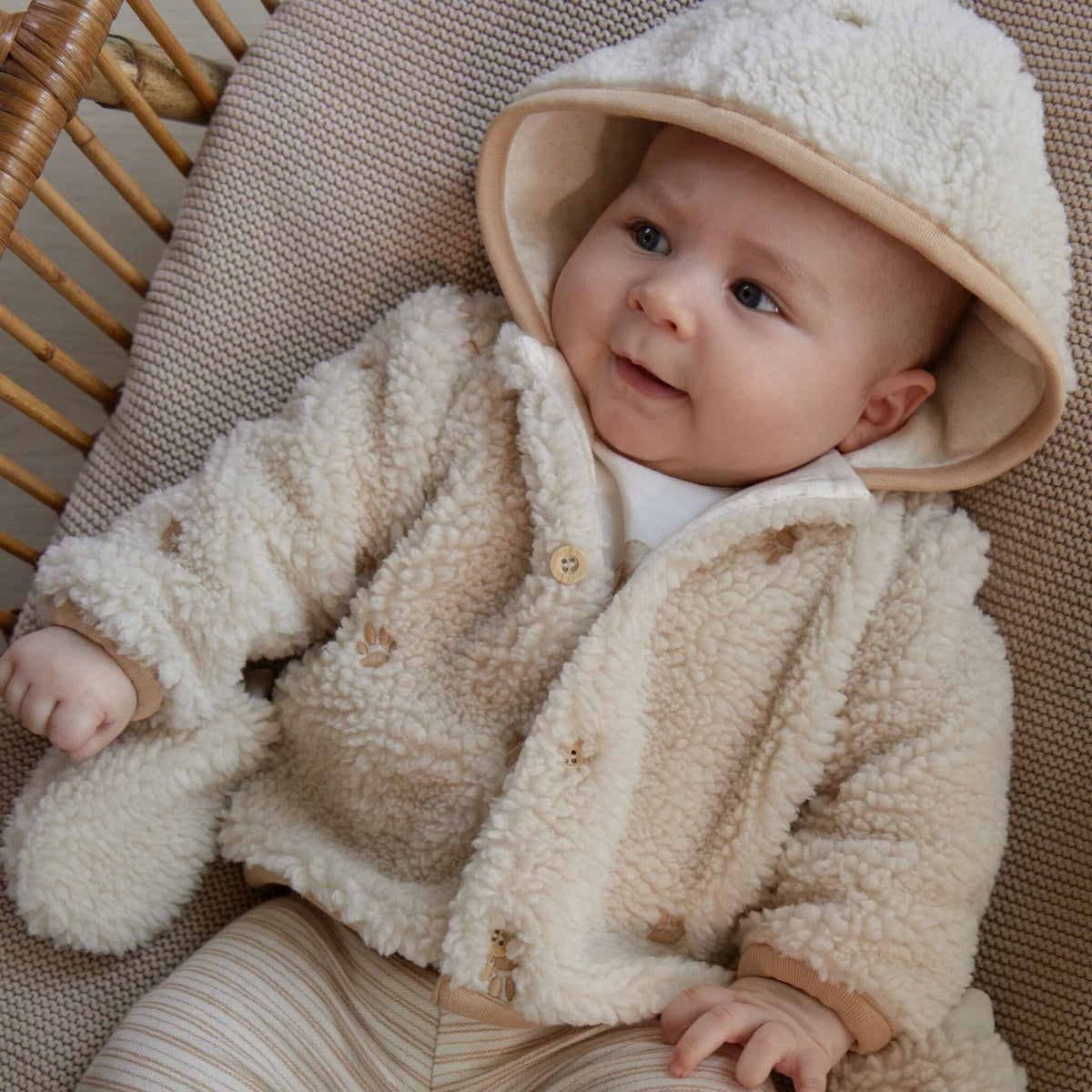 Teddy Coat Sand Paw Print
