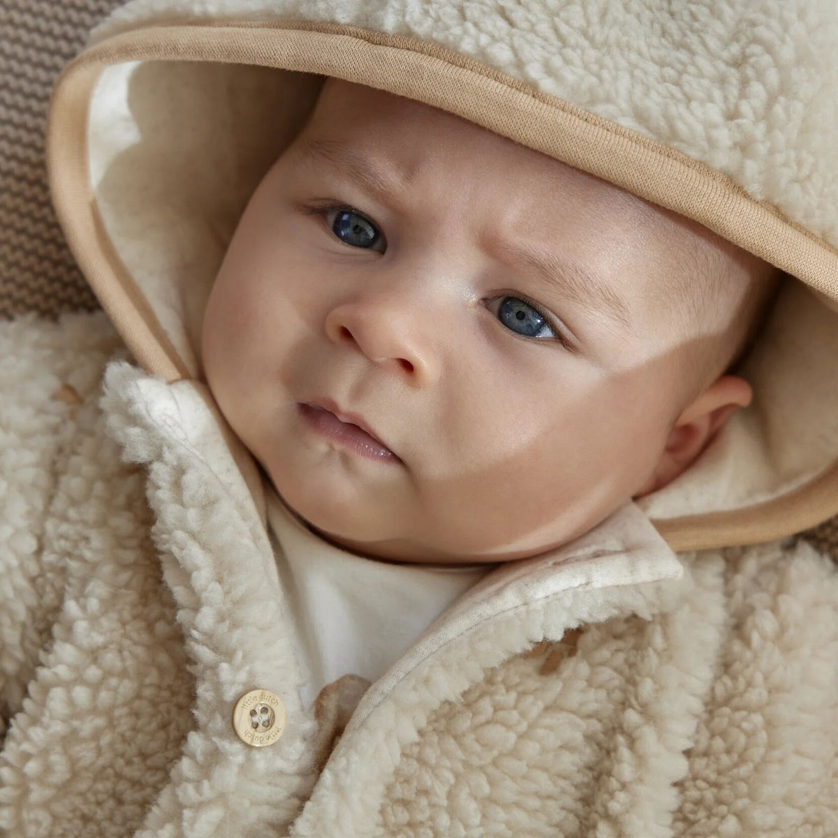 Teddy Coat Sand Paw Print
