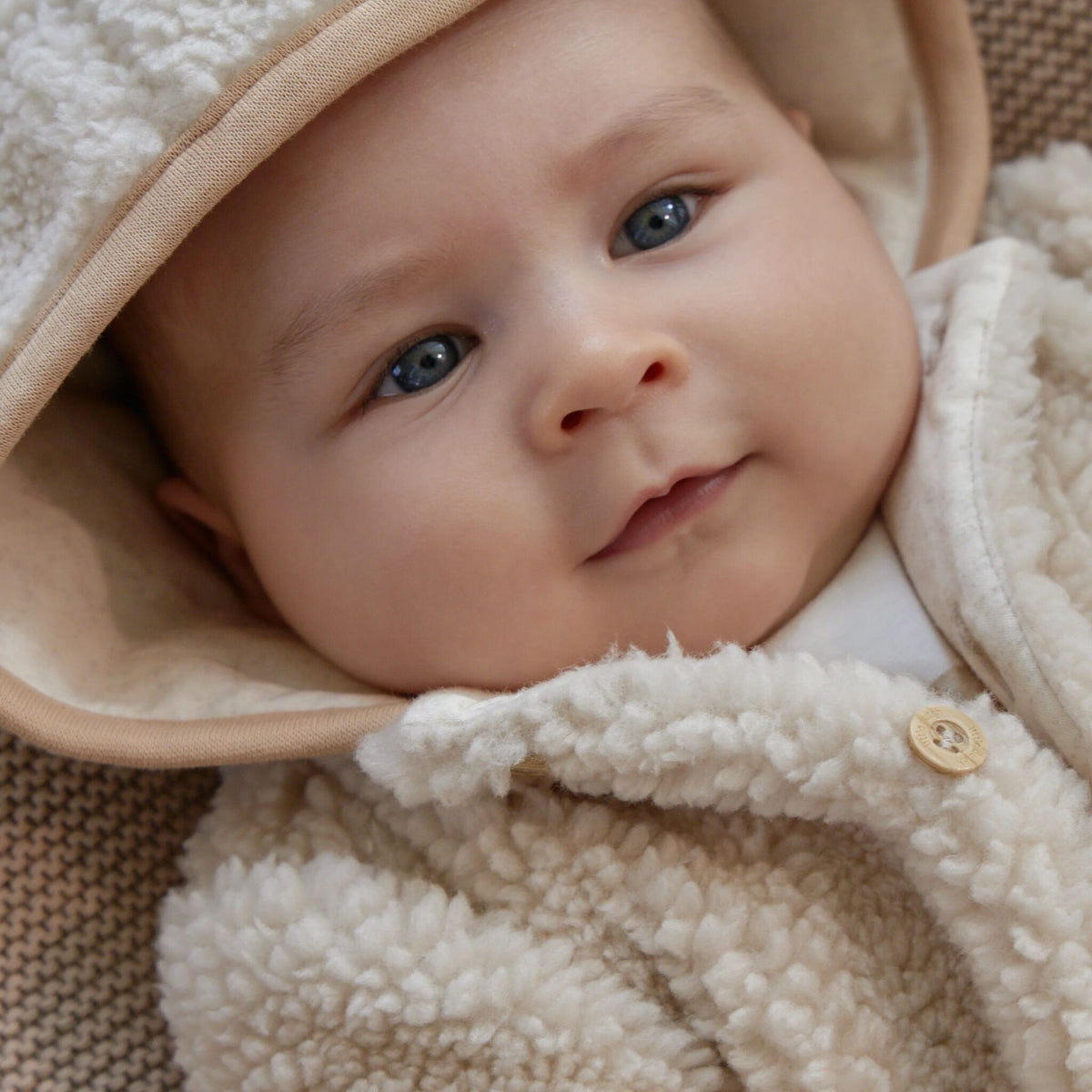 Teddy Coat Sand Paw Print