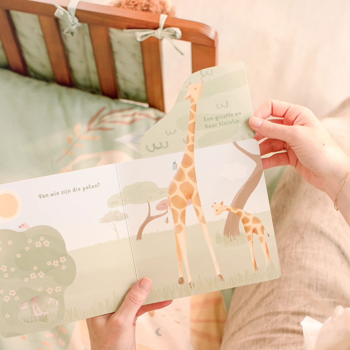 My flap book - Wild animals