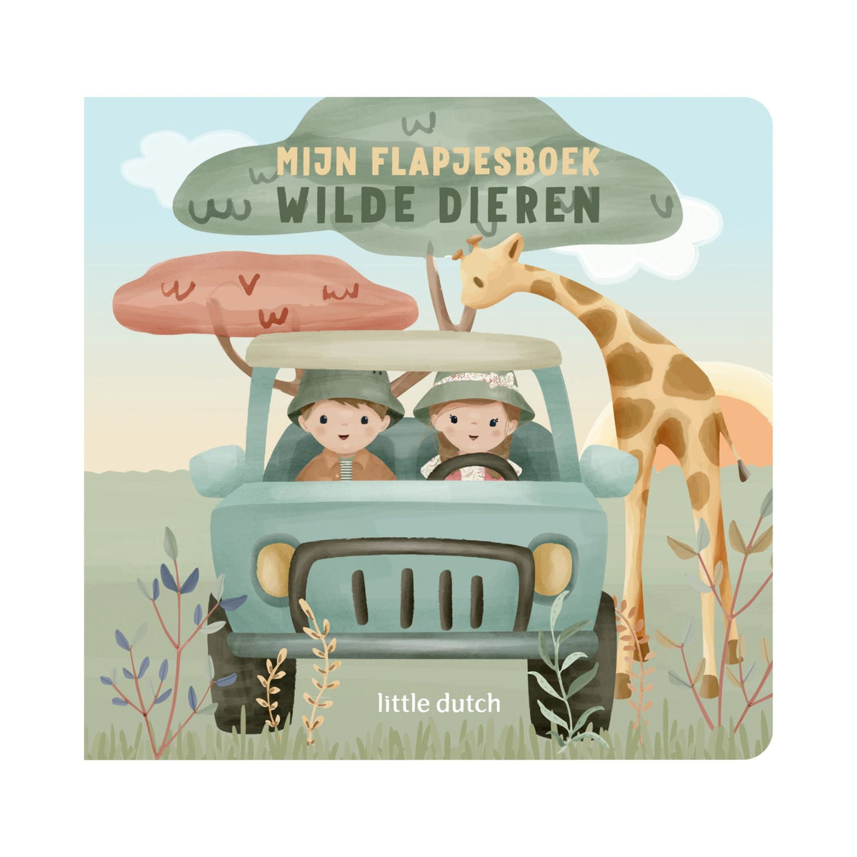 My flap book - Wild animals