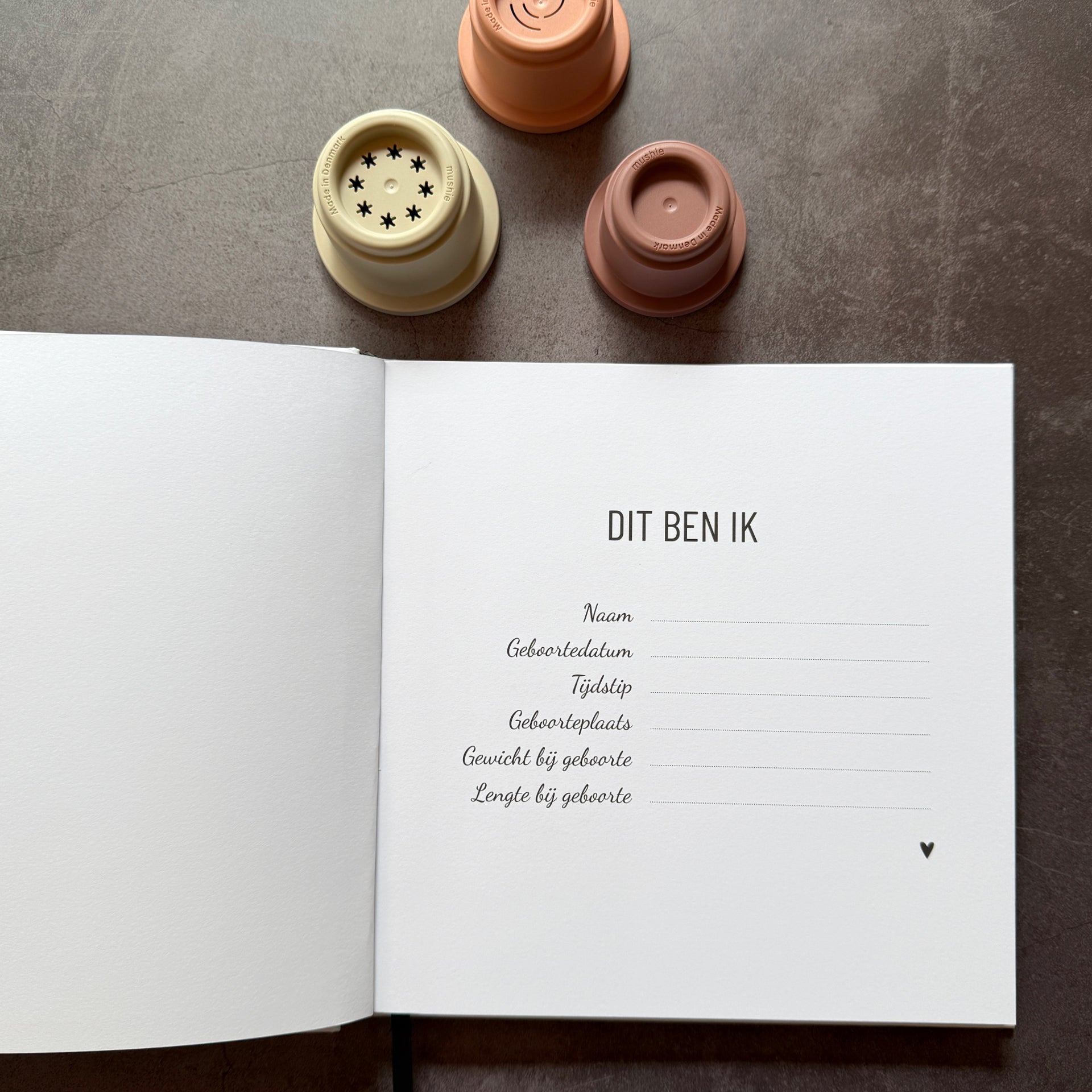 Babyboek | Mijn eerste jaar | Hart