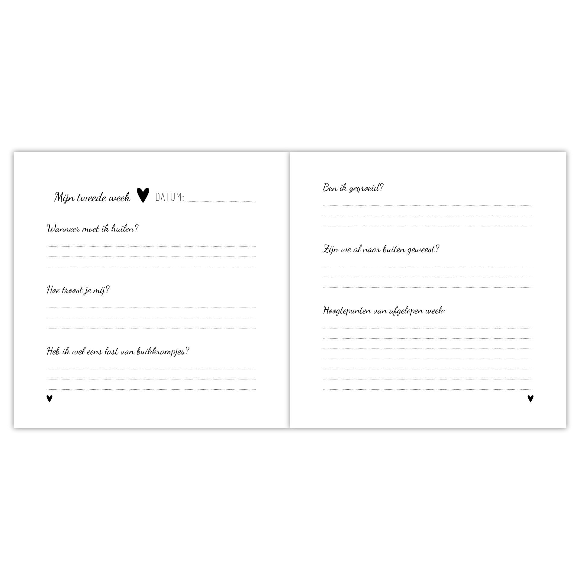 Babyboek | Mijn eerste jaar | Hart