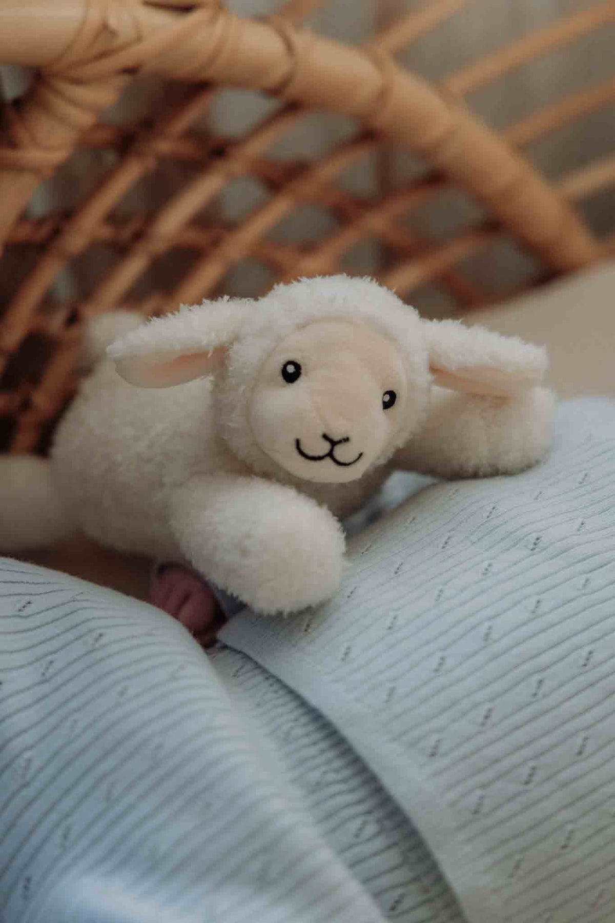 Rosie (beige) - Plush night light